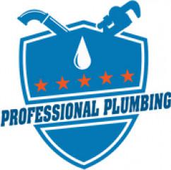 Professional Plumbing (1323227)